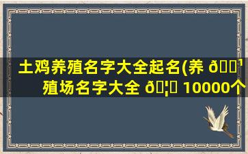 土鸡养殖名字大全起名(养 🌹 殖场名字大全 🦍 10000个)